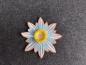 Preview: Stickdatei Fadenblume Margerite